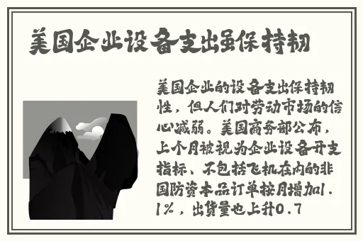 菠萝导航