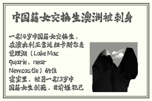 久久久精品波多野结衣AV